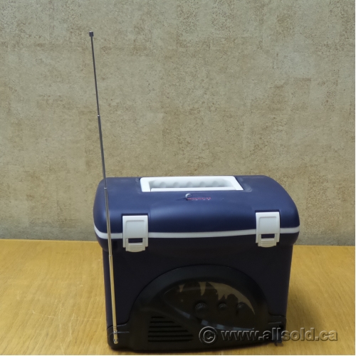 Mini cooler radio store